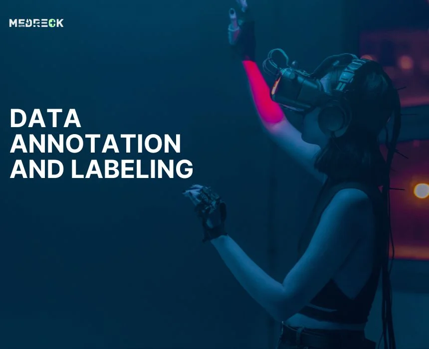 Data Annotation and Labelling