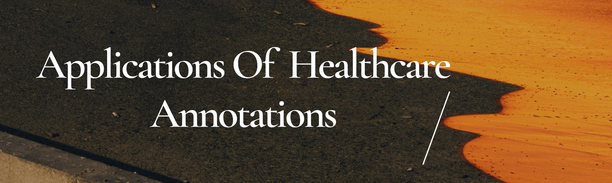 Applications Of Healthcare Annotations